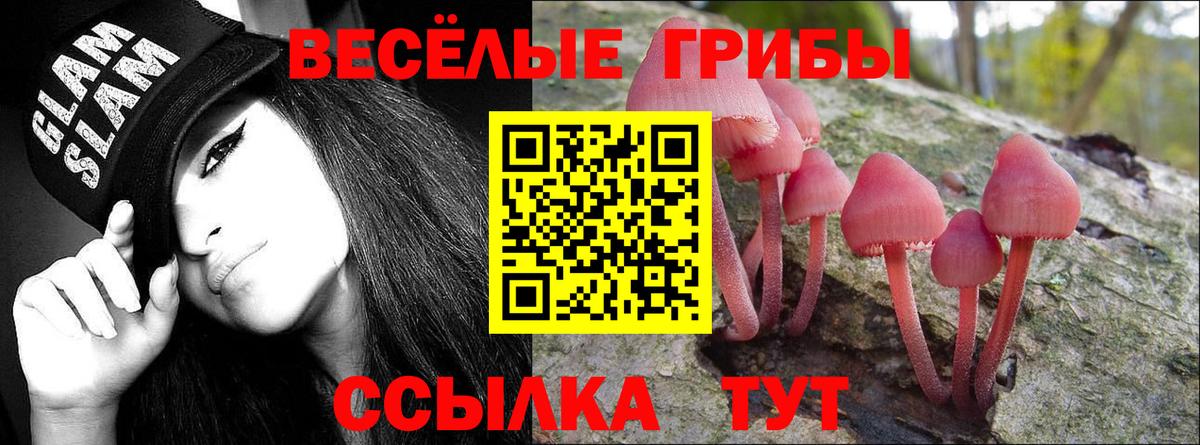 Янаул  Псилоцибиновые грибы мицелий  Вход с VPN  Псилоцибиновые грибы GOLDEN TEACHER 